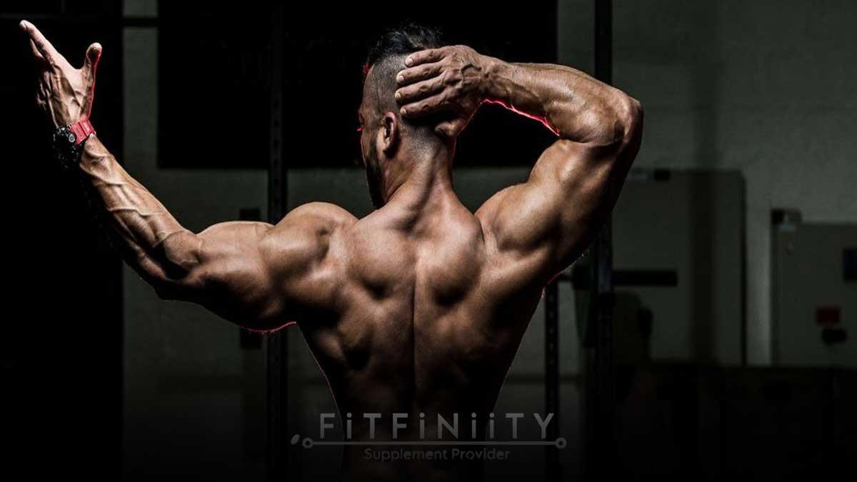 نکات کلیدی برای رشد بیشتر سرشانه