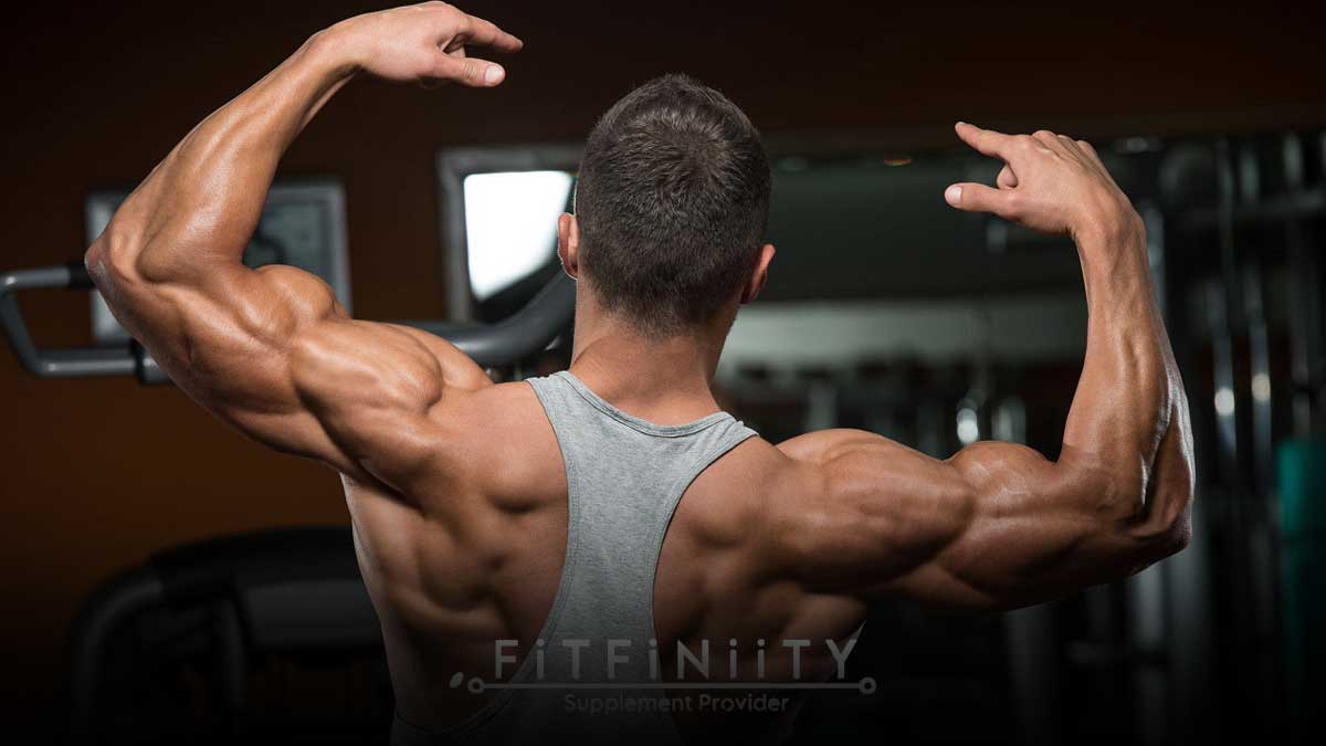 اهمیت تمرین برای سرشانه