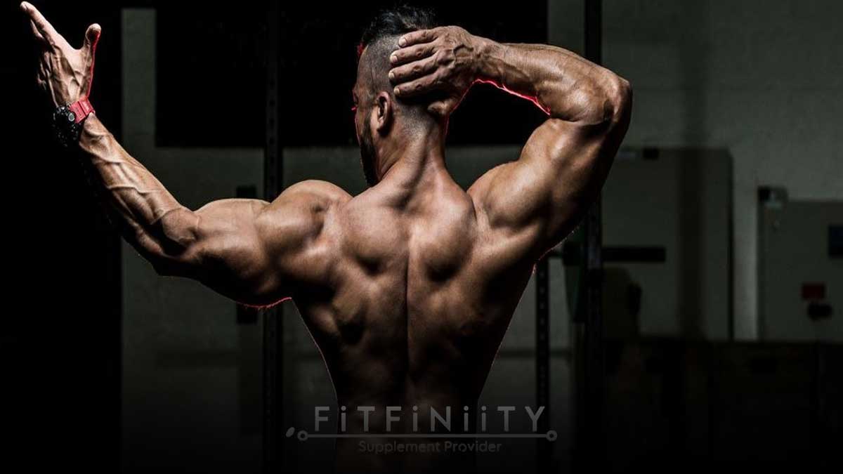 اهمیت مکمل‌ها در رشد عضلات سرشانه