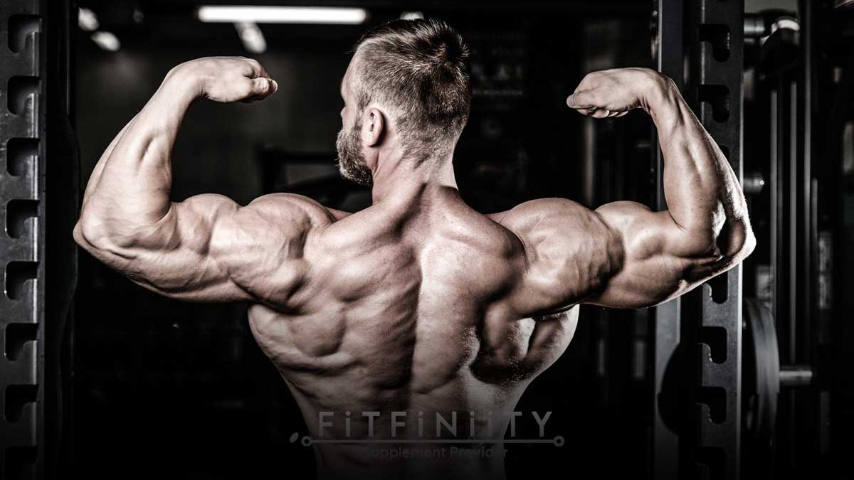 اهمیت مکمل‌ها در رشد عضلات پشت بازو