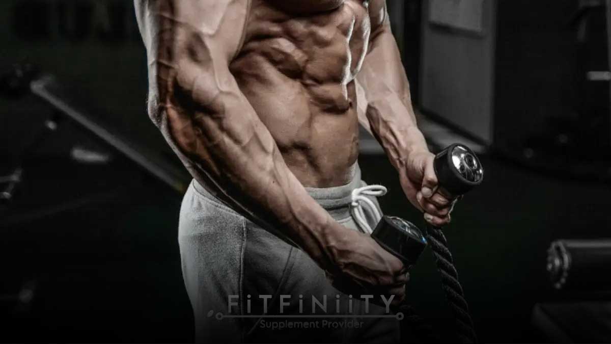 اهمیت تقویت عضلات ساعد در ورزش و زندگی