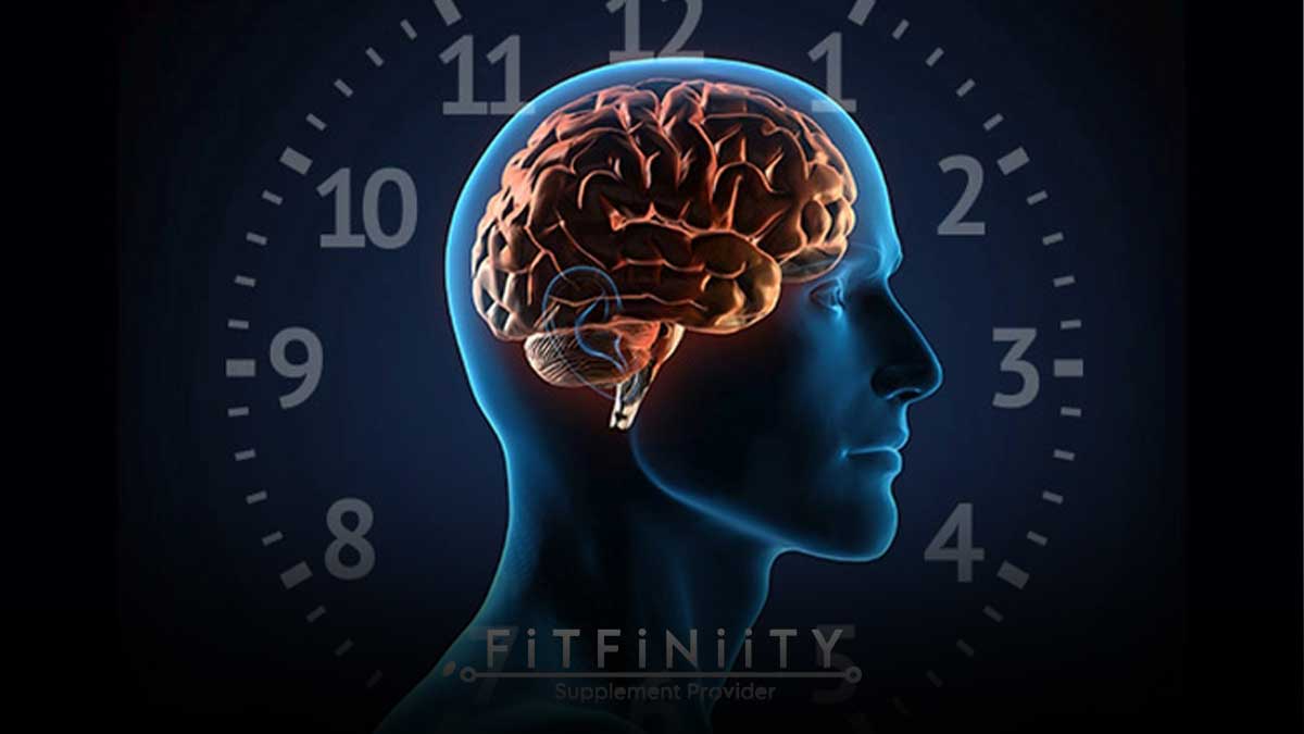 ریتم شبانه‌روزی چیست