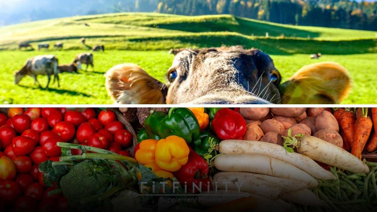 مقایسه رژیم‌های گیاهی و حیوانی برای افزایش عضله